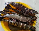 Foto langkah ke 1 dari resep Ebi Furai ala hokben.