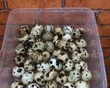 Foto langkah ke 1 dari resep Sate Telor Puyuh (Tanpa gula merah Tanpa Kecap).