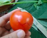 Cara Membuat 348 Nasi Tumpeng Merah Putih 3