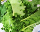 Foto langkah ke 4 dari resep Zuppa Toscana.