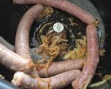 Une image de l'étape 1 de Chipolatas en sauce au Cookeo infinity 😃.