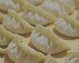 A picture of step 21 of Hand Mixer Pork and Napa Cabbage Dumplings.