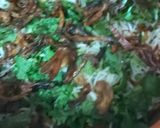 A picture of step 5 of Veg Dum Biryani.