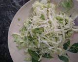 Cabbage Beet and Raddish Salad recipe step 1 photo