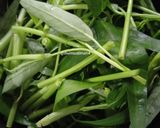 Foto langkah ke 1 dari resep Tumis Kangkung & Buncis.