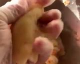 Foto del passaggio 4 della ricetta Le Creste di Gallo (Croquette di Gamberi 🦐)