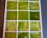 Foto del paso 5 de la receta: Zumo energético de piña, apio, limón y brotes de espinacas