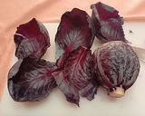 A picture of step 3 of Red Cabbage and Quinoa Rolls.