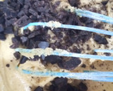 Foto del paso 6 de la receta: Galletas de Mantequilla con Pepitas de Chocolate Rellenas de Nocilla
