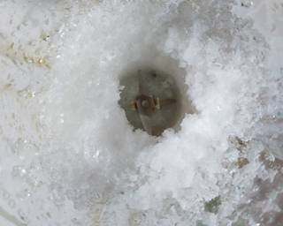 Es cendol Jelly & Nangka - Step 4