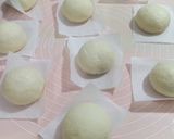 Foto langkah ke 4 dari resep Bakpao.
