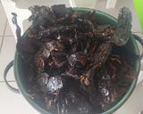 Foto del paso 2 de la receta: Mole negro istmeño (para mí abuelito)