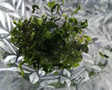 Foto del paso 1 de la receta: Tallarines de setas y castañas con setas y alga wakame