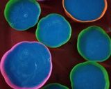 Foto langkah ke 3 dari resep Puding Mawar Biru.