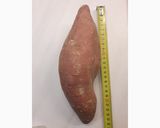 Une image de l'étape 2 de Gratin de patate douce.