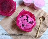 Cara Membuat Ice cream buah naga 9