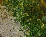 ઢેખરા (dhekhra recipe in gujarati) રેસીપી સ્ટેપ1ફોટો