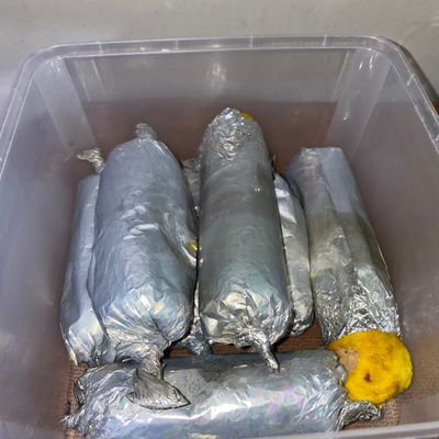 Langkah 7