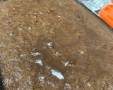 Foto del paso 3 de la receta: Brownie