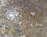 A picture of step 1 of Mutton yakhni pulao.