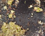 બેસન ભીંડી (Besan Bhindi Recipe in Gujarati) રેસીપી સ્ટેપ4ફોટો