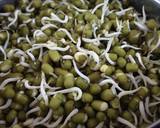 Green gram sprouts recipe step 3 photo