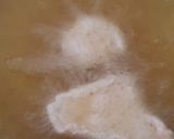 A picture of step 4 of Crispy Chicken Skin.