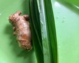 Foto langkah ke 1 dari resep Infused Jahe Pandan (utk GERD).