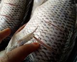 A picture of step 1 of Pan grilled tilapia.