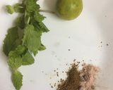 A picture of step 1 of Peach ice tea mojito.