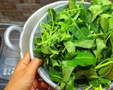 Foto langkah ke 5 dari resep Resep Tumis Kangkung Simple Tetap Hijau.