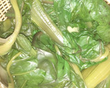 Foto del paso 1 de la receta: Canelones de acelga con bolognesa