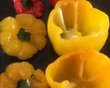 عکس مرحله 3 از دستور فلفل دلمه ای شکم پر