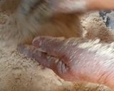 A picture of step 5 of بیسن کی روٹی.