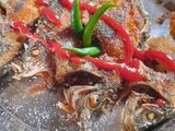 ফিস ফ্রাই (Fish fry recipe in bengali)