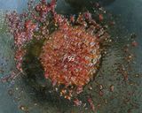 Foto langkah ke 2 dari resep Gulai Udang Galah.