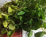 A picture of step 1 of Green chutney.