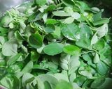 Hình bước làm 2 của món Canh rau chùm ngây nấu tôm