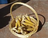 Foto del paso 6 de la receta: Huachales
