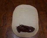 Φωτογραφία βήματος 8 της συνταγής Κρουασάν με πραλίνα