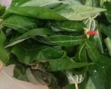 Foto langkah ke 1 dari resep Gulai Daun Singkong.