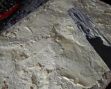 Foto del paso 5 de la receta: Focaccia súper fácil!!