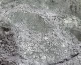 Foto del paso 2 de la receta: Alfajores oreo