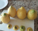 Foto del paso 1 de la receta: Limones helados