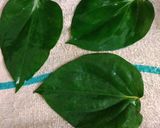 A picture of step 1 of Paan masala.