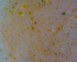 Foto del paso 1 de la receta: Sopa de pollo a la cerveza con queso curado