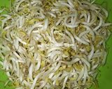 Foto langkah ke 3 dari resep Tumis Toge Tahu.