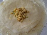 Crunchy Martabak Mini