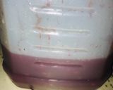 Foto del paso 2 de la receta: Vino o licor de cranberry’s