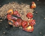 A picture of step 1 of Smokey Chicken.